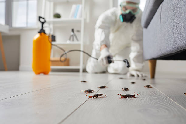 Commercial Kitchen Cockroach Control in Evanston